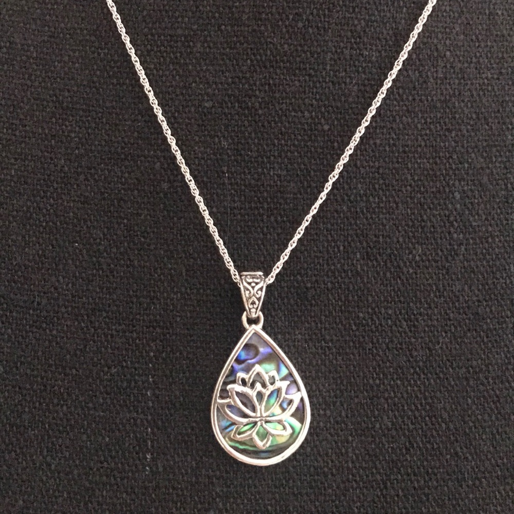 Lucky Brand locus necklace